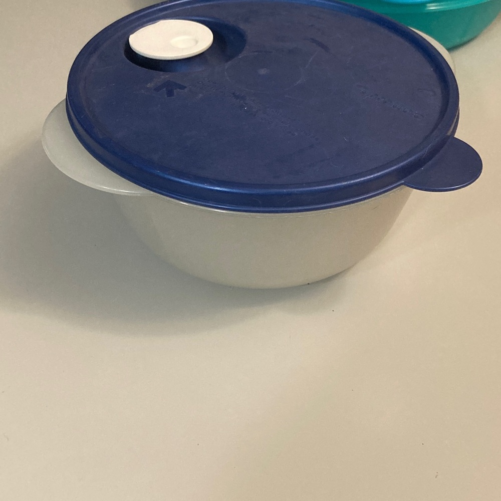 Tupperware Blue and White Food Storage Bowl